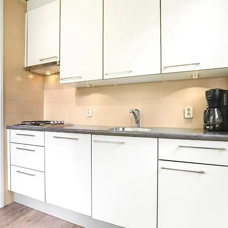 In Near Veluwe Forest