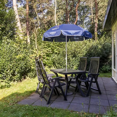 In Near Veluwe Forest * Putten