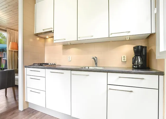 In Near Veluwe Forest