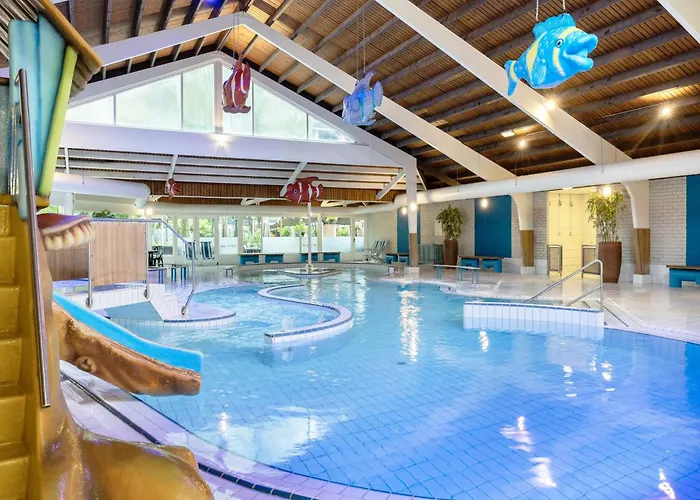 In Near Veluwe Forest