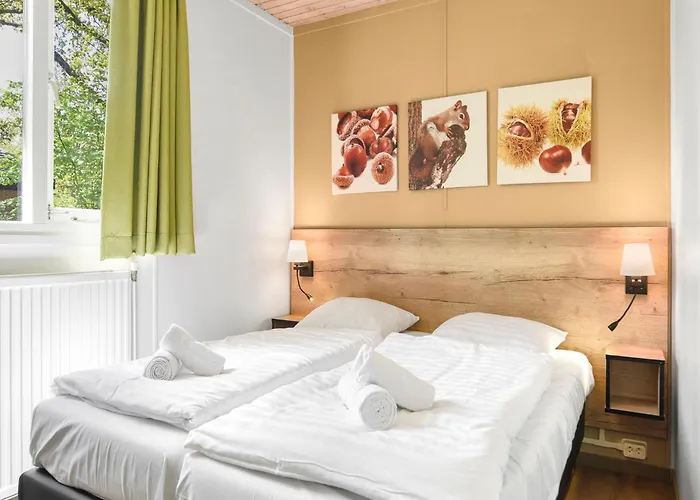 In Near Veluwe Forest