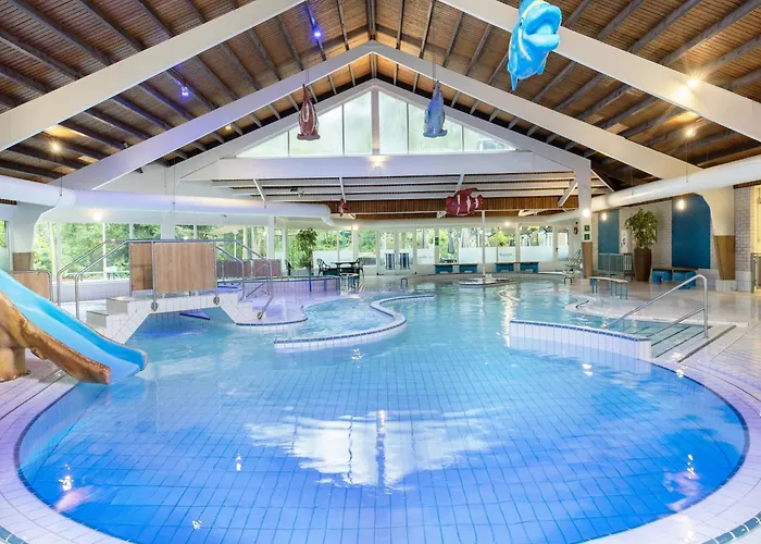 In Near Veluwe Forest