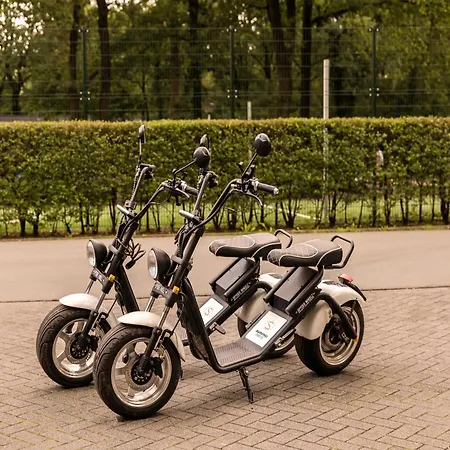 In Near Veluwe Forest Putten