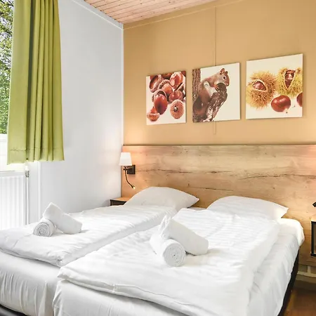 In Near Veluwe Forest