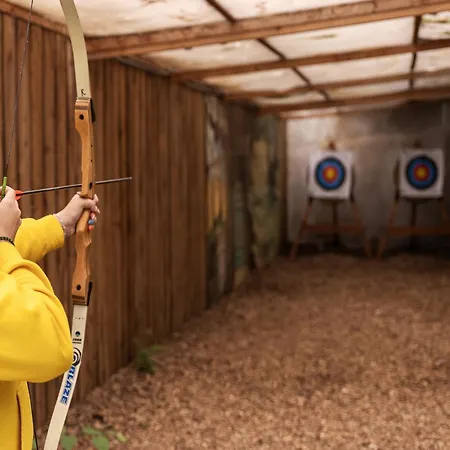 In Near Veluwe Forest *