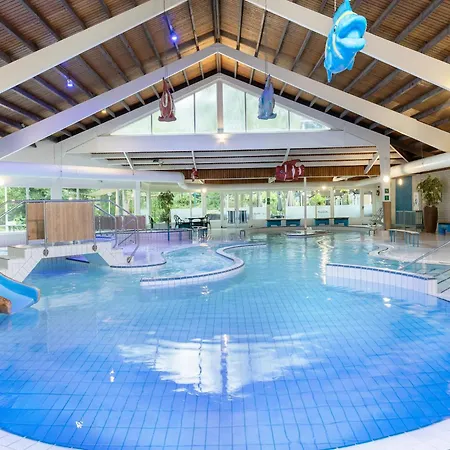 In Near Veluwe Forest